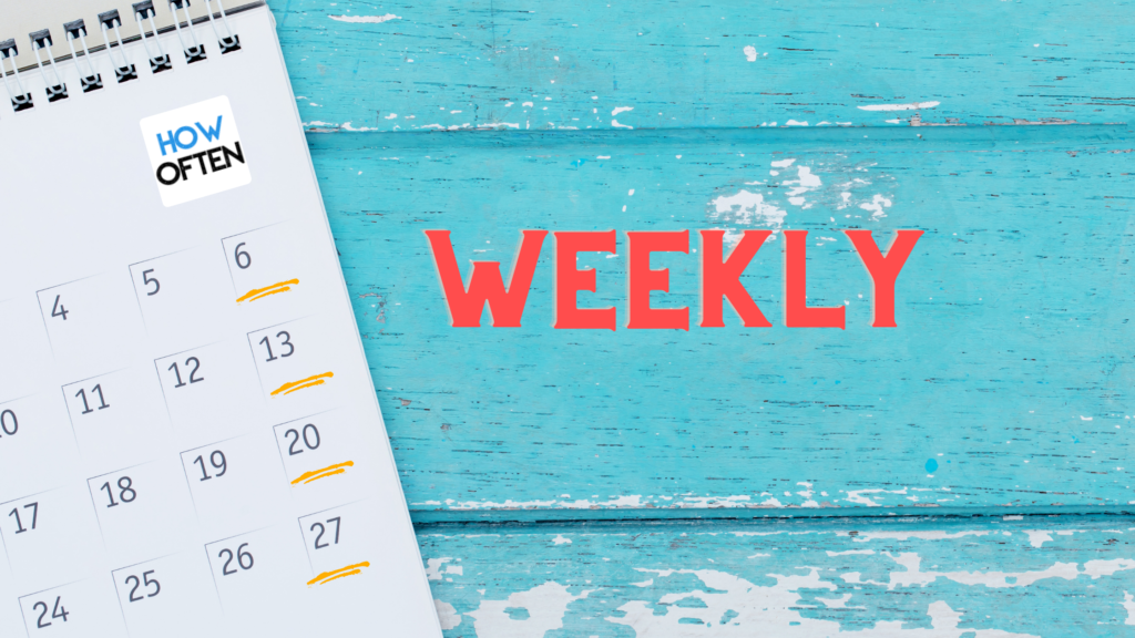 How often is weekly meanings how often 
